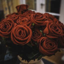 A beautiful bouquet of deep red roses arranged in a vase, symbolizing love and romance. Perfect for Valentine's Day, anniversaries, or special celebrations, the vibrant flowers create an intimate and heartfelt atmosphere