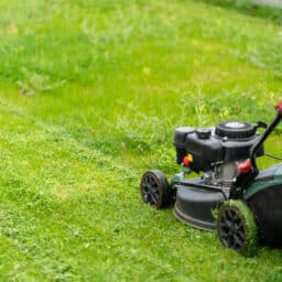 Mowing the lawn.