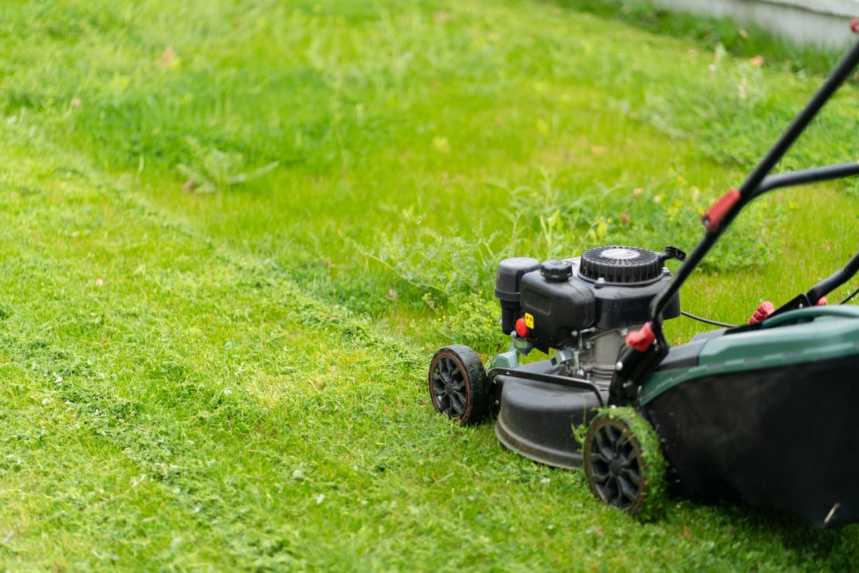 Mowing the lawn.